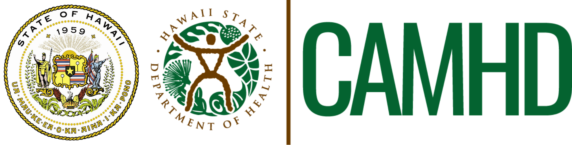 Child and Adolescent Mental Health Division Logo